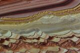 Polished Slab Of Rolling Hills Dolomite - Mexico #92724-1